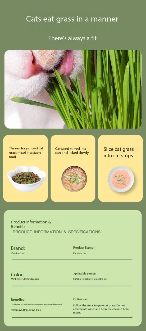 Cat Grass Growing Kit – Hydroponic Cat Grass Box with Tray, 5 Seed Packs, No Soil Needed for Fresh, Healthy Cat Snacks