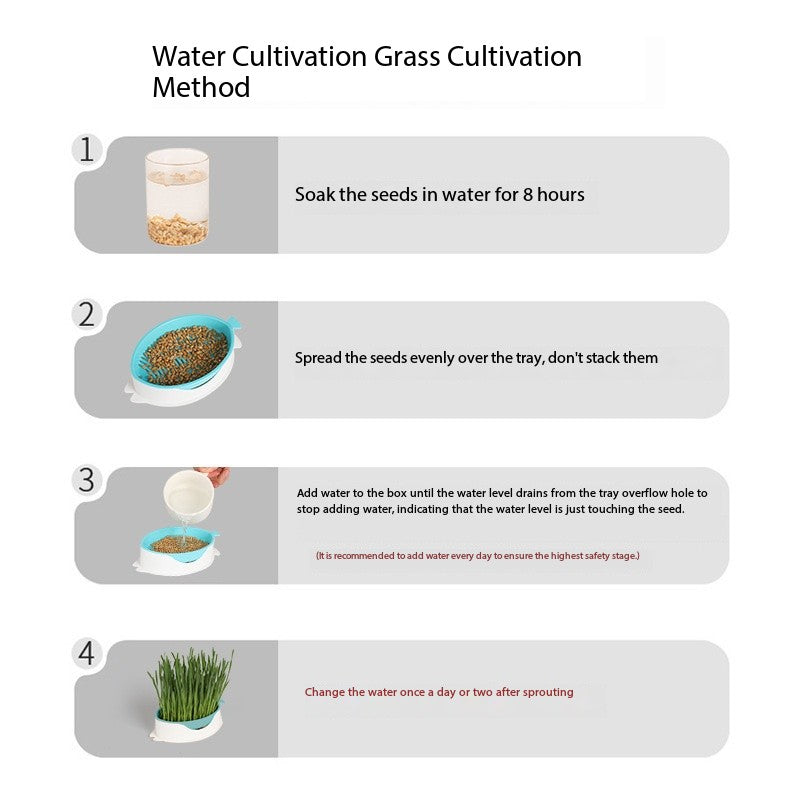 Cat Grass Growing Kit – Hydroponic Cat Grass Box with Tray, 5 Seed Packs, No Soil Needed for Fresh, Healthy Cat Snacks