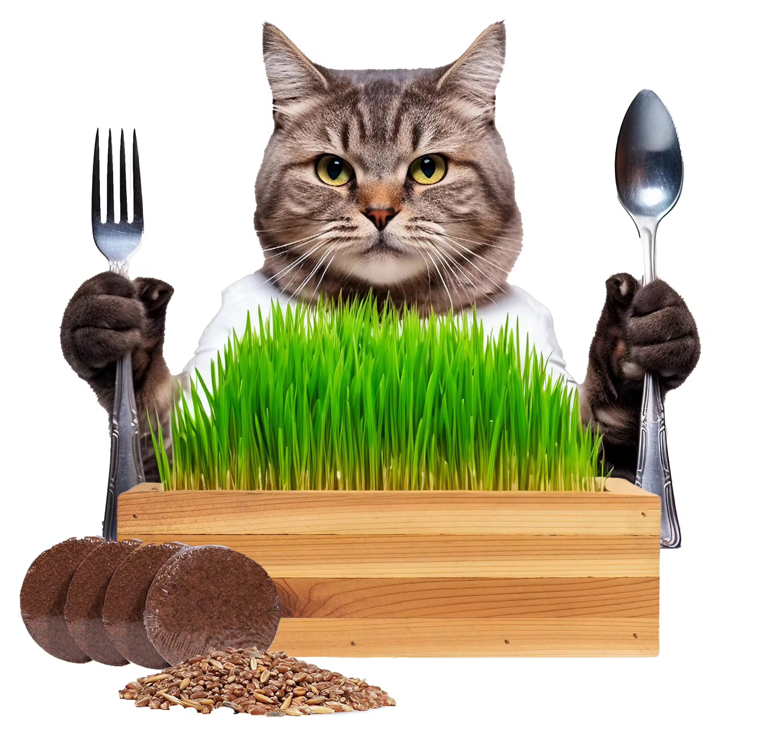 Pet Snacks