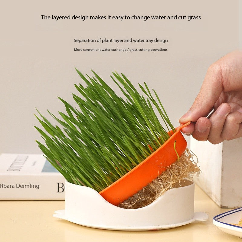 Cat Grass Growing Kit