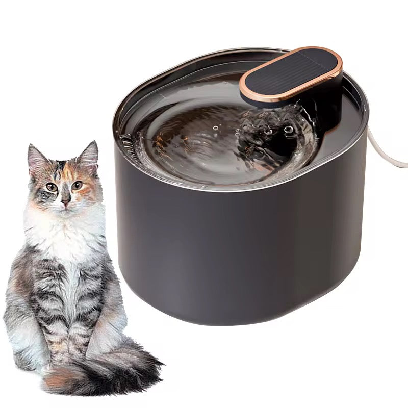 Pet Dispanser