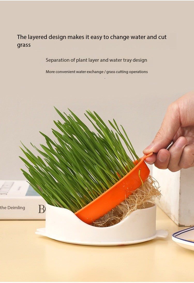 Cat Grass Growing Kit – Hydroponic Cat Grass Box with Tray, 5 Seed Packs, No Soil Needed for Fresh, Healthy Cat Snacks