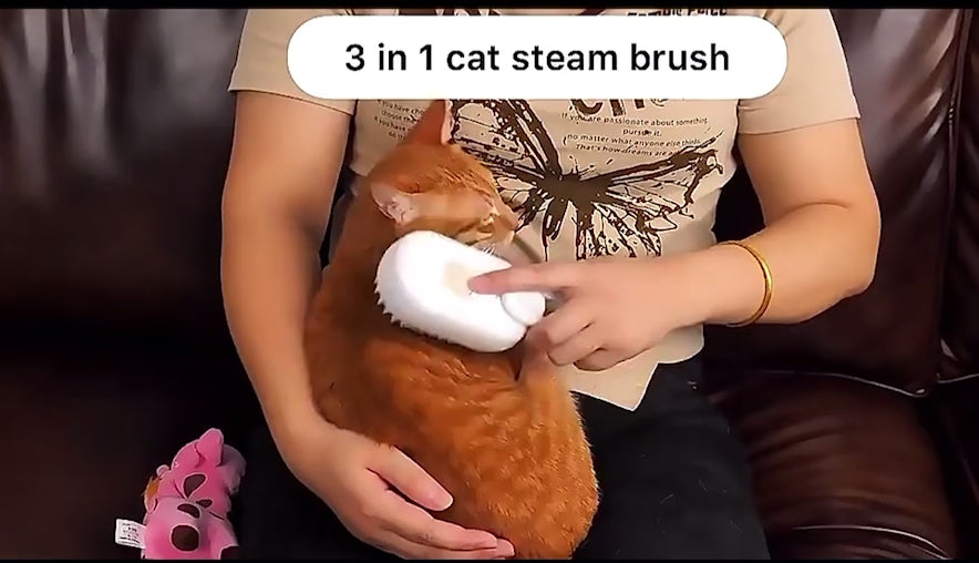 Pet Grooming accessories
